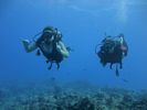 Hawaii Scuba divng 12