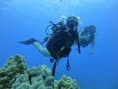 Hawaii Scuba divng 15