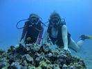 Hawaii Scuba divng 16