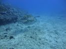 Hawaii Scuba divng 18