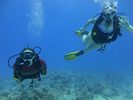 Hawaii Scuba divng 38