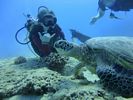 Hawaii Scuba divng 42