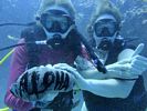 Hawaii Scuba divng 56