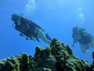 Hawaii Scuba divng 59