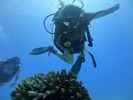 Hawaii Scuba divng 63