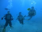 Hawaii Scuba divng 11