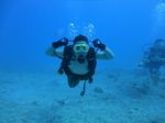 Hawaii Scuba divng 14