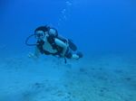 Hawaii Scuba divng 19