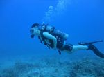 Hawaii Scuba divng 20