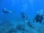 Hawaii Scuba divng 22