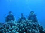 Hawaii Scuba divng 23