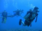 Hawaii Scuba divng 24