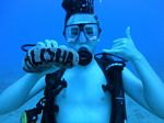 Hawaii Scuba divng 26