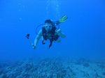 Hawaii Scuba divng 30