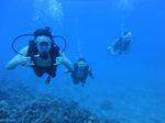 Hawaii Scuba divng 34