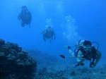 Hawaii Scuba divng 36