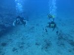 Hawaii Scuba divng 37