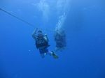 Hawaii Scuba divng 41