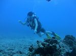 Hawaii Scuba divng 44