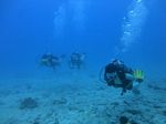 Hawaii Scuba divng 49