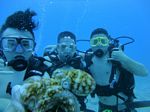 Hawaii Scuba divng 58