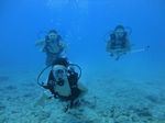 Hawaii Scuba divng 62