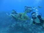 Hawaii Scuba divng 66