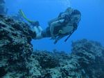 Hawaii Scuba divng 75