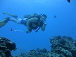 Hawaii Scuba divng 77