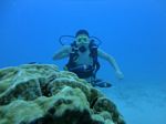 Hawaii Scuba divng 79