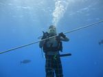 Hawaii Scuba divng 07