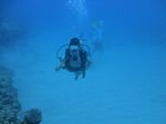 Hawaii Scuba divng 80