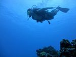 Hawaii Scuba divng 82