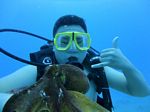 Hawaii Scuba divng 86