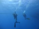 Hawaii Scuba divng 08