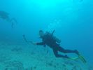 Hawaii Scuba divng 11