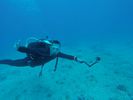 Hawaii Scuba divng 15