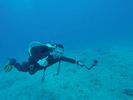 Hawaii Scuba divng 16