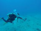 Hawaii Scuba divng 17