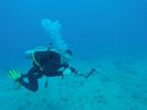 Hawaii Scuba divng 18