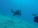 Hawaii Scuba divng 19