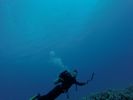 Hawaii Scuba divng 23