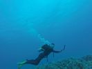 Hawaii Scuba divng 25