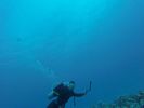 Hawaii Scuba divng 26