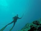 Hawaii Scuba divng 29