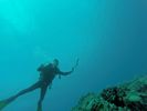 Hawaii Scuba divng 30