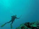 Hawaii Scuba divng 31