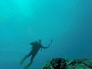 Hawaii Scuba divng 33