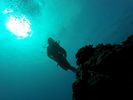 Hawaii Scuba divng 36