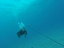 Hawaii Scuba divng 04